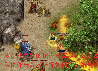 ��ɳսʤ���ĺ���Ҫ����ʲô���Ŷ�Э����ս��ָ�����������ϣ�