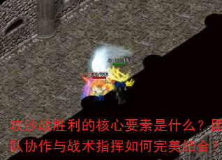 ��ɳսʤ���ĺ���Ҫ����ʲô���Ŷ�Э����ս��ָ�����������ϣ�