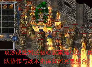 ��ɳսʤ���ĺ���Ҫ����ʲô���Ŷ�Э����ս��ָ�����������ϣ�