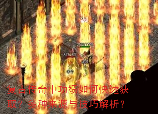 ���Ŵ����й�����ο��ٻ�ȡ��������Դ�뼼�ɽ�����