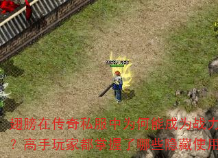 翅膀在传奇私服中为何能成为战力提升关键?高手玩家都掌握了哪些隐藏使用技巧? 翅膀在传奇私服中为何能成为战力提升关键?高手玩家都掌握了哪些隐藏使用技巧?