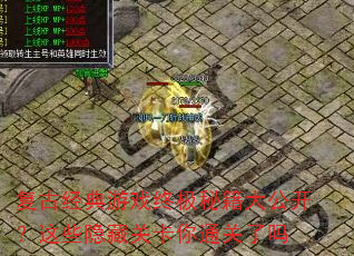 ���ž�����Ϸ�ռ��ؼ��󹫿�����Щ���عؿ���ͨ������