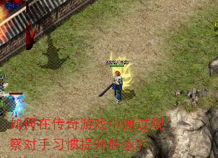 ����ڴ�����Ϸ��ͨ���۲����ϰ������ʤ�ʣ�