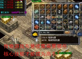 ������Ϸ�����ռ���Ҫ��Щ���ļ��ܲ��ܳ�Ϊ���֣�