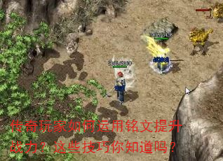 ����������������������ս������Щ������֪����