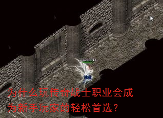 Ϊʲô�洫��սʿְҵ���Ϊ������ҵ�������ѡ��