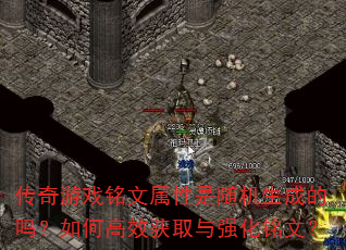 ������Ϸ����������������ɵ�����θ�Ч��ȡ��ǿ�����ģ�