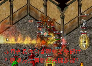 �����׾��������Щװ����������ȡ��������Щ�ؼ����裿