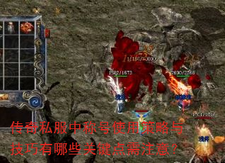 ����˽���гƺ�ʹ�ò����뼼������Щ�ؼ�����ע�⣿