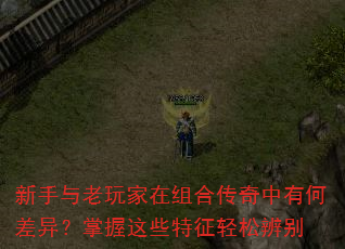 ���������������ϴ������кβ��죿������Щ�������ɱ��