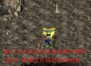 ���������������ϴ������кβ��죿������Щ�������ɱ��