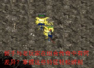 ���������������ϴ������кβ��죿������Щ�������ɱ��