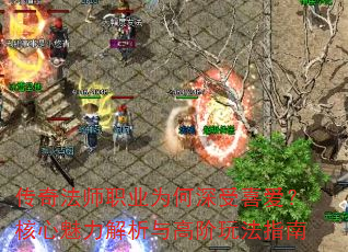 ���淨ʦְҵΪ������ϲ������������������߽��淨ָ��