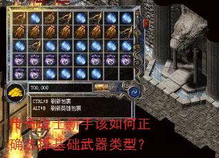 ����սʿ���ָ������ȷѡ������������ͣ�