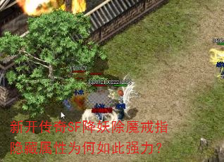 �¿�����SF������ħ��ָ��������Ϊ�����ǿ����