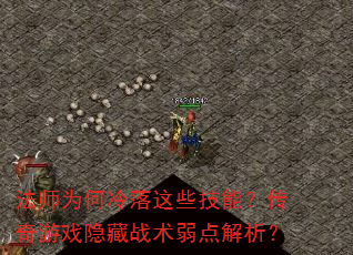 ��ʦΪ��������Щ���ܣ�������Ϸ����ս�����������