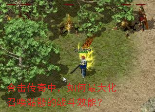 �ϻ������У��������ٻ����õ�ս��Ч�ܣ�