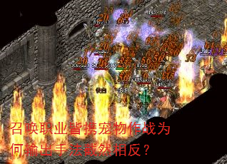 �ٻ�ְҵ��Я������սΪ������ַ���Ȼ�෴��