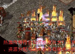 ��Ѫ�����л���ο���׳�󣿳�Ա��ļ����Դ������ս��Э������Щ���ϣ�