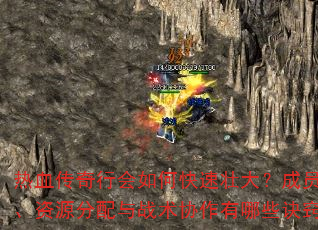 ��Ѫ�����л���ο���׳�󣿳�Ա��ļ����Դ������ս��Э������Щ���ϣ�