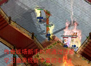 ����ս���������ͨ������ѧϰ��Ϯ����ḻ���ϱ���