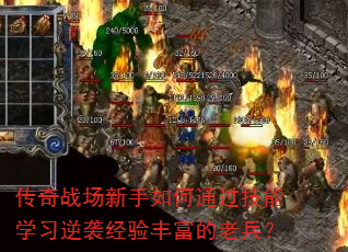 ����ս���������ͨ������ѧϰ��Ϯ����ḻ���ϱ���