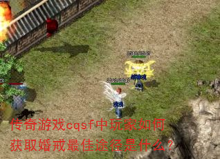 ������Ϸcqsf�������λ�ȡ������;����ʲô��