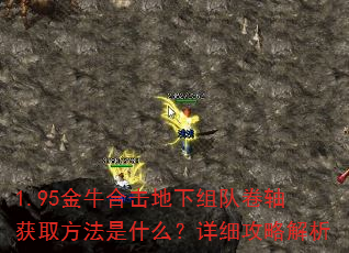 1.95��ţ�ϻ�������Ӿ����ȡ������ʲô����ϸ���Խ���