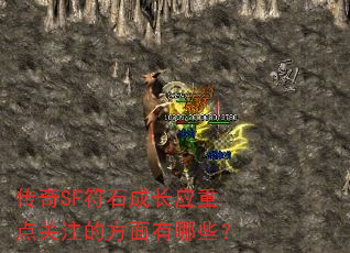 ����SF��ʯ�ɳ�Ӧ�ص��ע�ķ�������Щ��