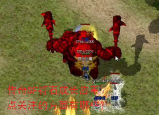 ����SF��ʯ�ɳ�Ӧ�ص��ע�ķ�������Щ��