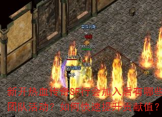 �¿���Ѫ����SF�л���������Щ�Ŷӻ����ο�����������ֵ��