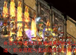 �ϻ������������ѵ���ıȲ��Ϸ�����ְҵ������ʵսЧ�����̽�֣�