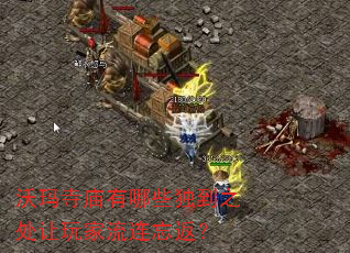 ������������Щ����֮�����������������