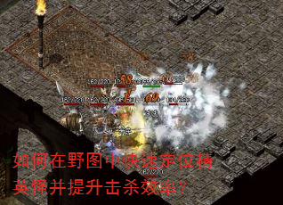 �����Ұͼ�п��ٶ�λ��Ӣ�ֲ�������ɱЧ�ʣ�