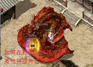 �����Ұͼ�п��ٶ�λ��Ӣ�ֲ�������ɱЧ�ʣ�