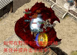 �����Ұͼ�п��ٶ�λ��Ӣ�ֲ�������ɱЧ�ʣ�