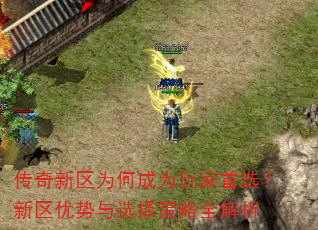 ��������Ϊ�γ�Ϊ�����ѡ������������ѡ�����ȫ����