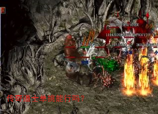 �����ʿ����������