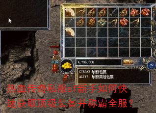 ��Ѫ����˽��sf������ο��ٻ�ȡ����װ�����ư�ȫ����