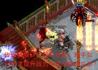 ����˽��sf�ҷ���������������ο�������ս�����ȡϡ��װ����