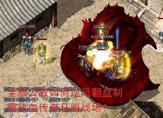 ȫ�����������緭���ư���Ѫ����˽��ս����