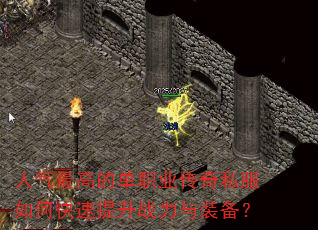 ������ߵĵ�ְҵ����˽����ο�������ս����װ����