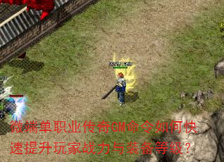 ΢�˵�ְҵ����GM������ο����������ս����װ���ȼ���