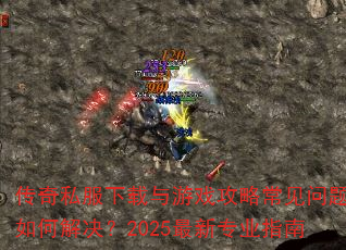 ����˽����������Ϸ���Գ���������ν����2025����רҵָ��