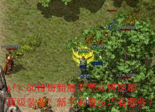 sf1.80�����·����������ˢ����װ�������ֱؿ���������Щ��