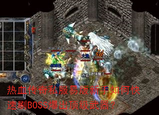 ��Ѫ����˽���װ�������ο���ˢBOSS��������������