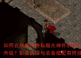 �������Ѫ����˽��Ԫ�񻳾ɰ��п���������ְҵѡ����װ�������кμ��ɣ�