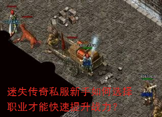 迷失传奇私服新手如何选择职业才能快速提升战力? 迷失传奇私服新手如何选择职业才能快速提升战力?
