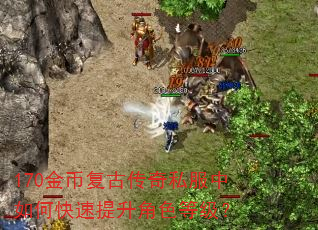 170��Ҹ��Ŵ���˽������ο���������ɫ�ȼ���