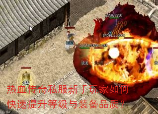 ��Ѫ����˽�����������ο��������ȼ���װ��Ʒ�ʣ�